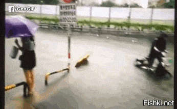 Подборка GIF с просторов