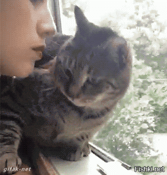 не надо, я видел, что ты в рот брала)))))