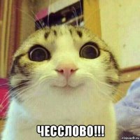 Пятничные COUB(ы)