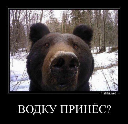 Солянка удивительных фоток, часть 2
