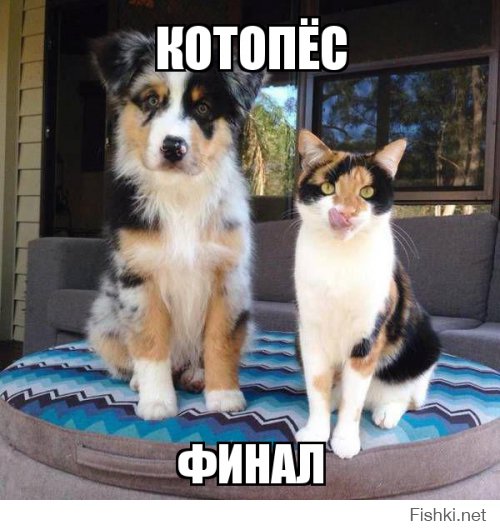 Веселые картинки