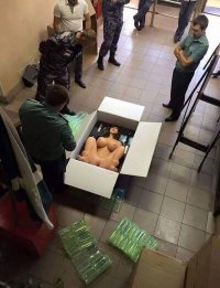 Не знаю-это в веселые картинки или удивительные фотографии?
