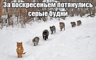 Картинки с надписями