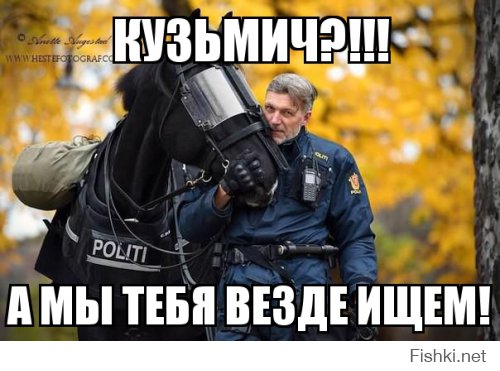 Солянка удивительных фоток