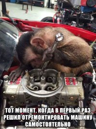 Фарш из картинок. ч. 2
