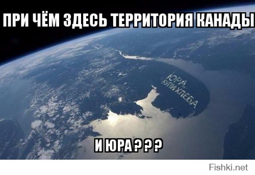 Фарш из картинок. ч. 2