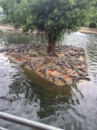 Каймановы острова.
