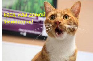 Встреча