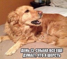 Встреча