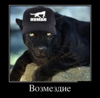Пантера