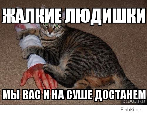 Когда страшно заходить в воду