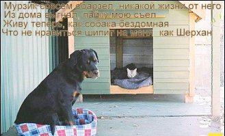 Добавка...