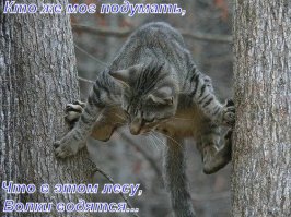 Добавка...