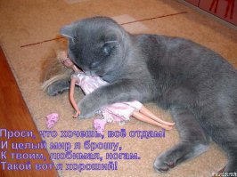 Добавка...