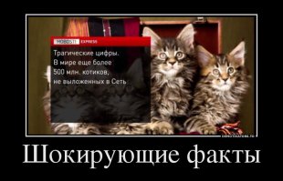 Поднимаем настроение! Зверюшки в студии!