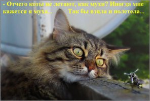 Фантазия на тему русской классики.