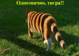 фантазия на тему причуд нашего зрения.