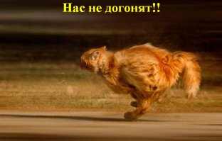 Фантазия на тему попсы.