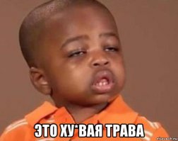 Юмор в картинках