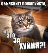 Юмор в картинках