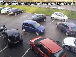 Женщины водители