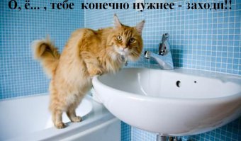 Жажда