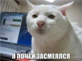 Когда твой друг дурак