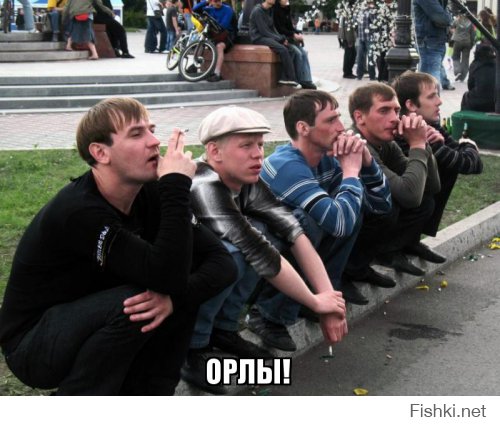Орлы