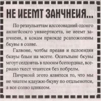 Кошачьи истории в фотографиях