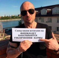 Кошачьи истории в фотографиях