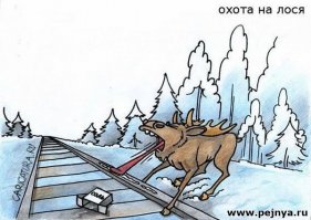 Лоси