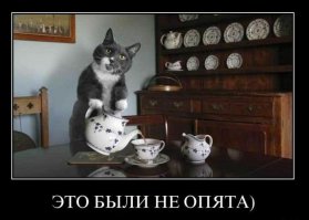 Взрослые собаки взяли опеку над спасённым щенком!