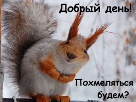 Алкогольный пост