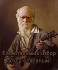Безопасность превыше всего