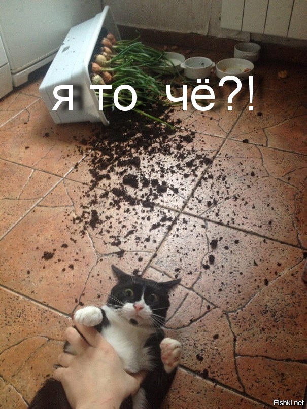 Первые секунды после