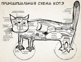 Немножко пятничных котиков