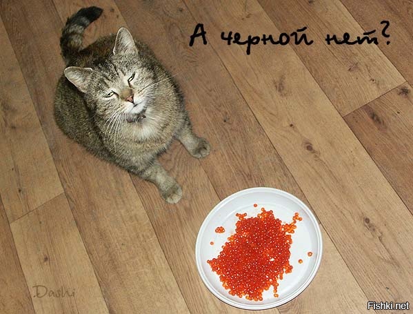 Ох уж эти социальные сети