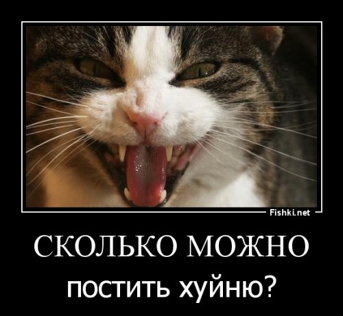 Славик в Уркаине или Люк Бессон не представляет