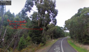 38°26'39.2"S 143°28'55.6"E