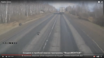 Кемарнул похоже. Цепанул обочину. Далеко от осевой был, когда понесло...