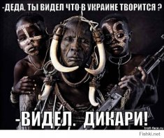 кастрюлеголовые