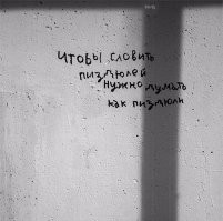 Открытки из коллекции