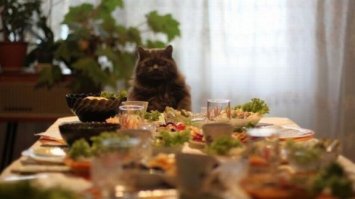 "И чтоб не нажирались мне!"