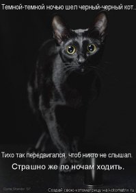 Жил да был черный кот