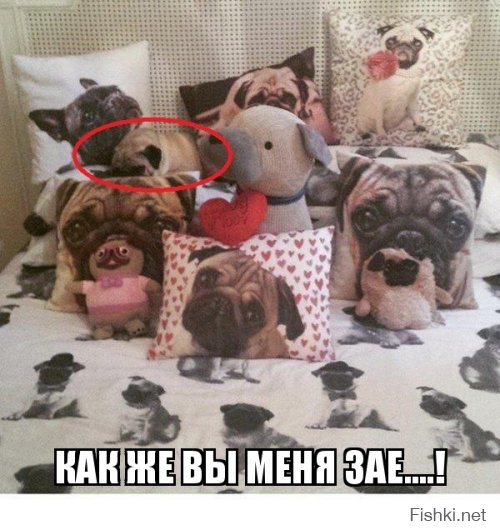 Удачный кадр
