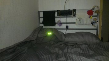 не всё что рыжее- котики :о)) наша любимица.