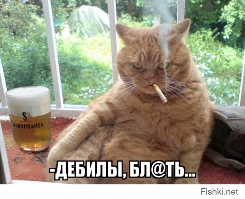 Чудики из социальных сетей часть 3