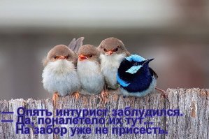 Собранное самое лучшее за 3-4 года??? Да, уж...