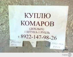 Буду миллионером