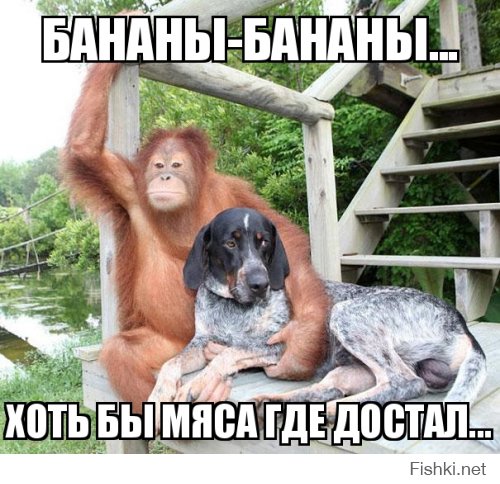 Самые добрые фото